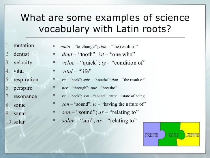 Examples Of Latin Roots 33