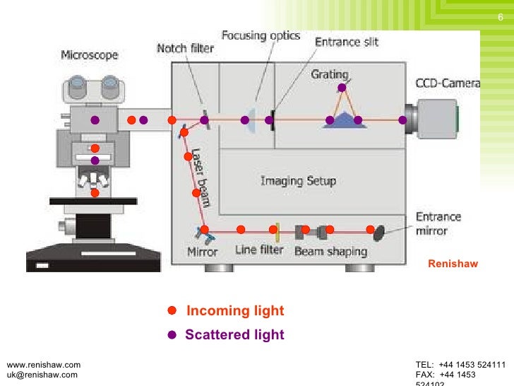 fluorescence spectroscopy
