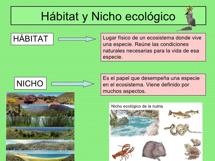 Resultado de imagen para que es habitat Y NICHO ECOLOGICO
