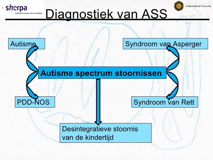 Thesis autisme spectrum stoornis 04 picture