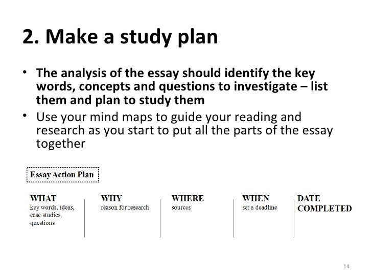 How to write an essay plan template