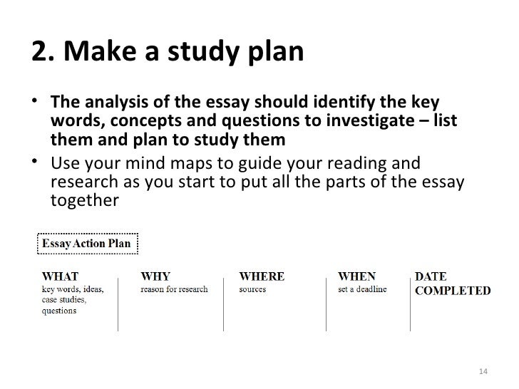 essay plan