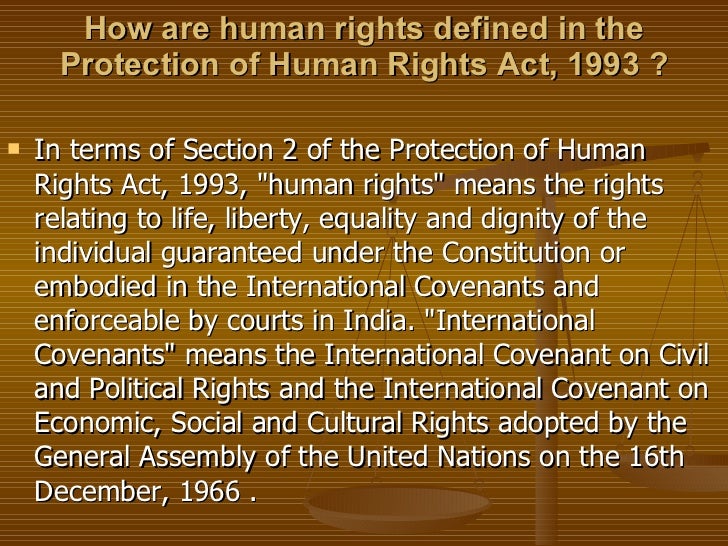 Essay On Human Rights