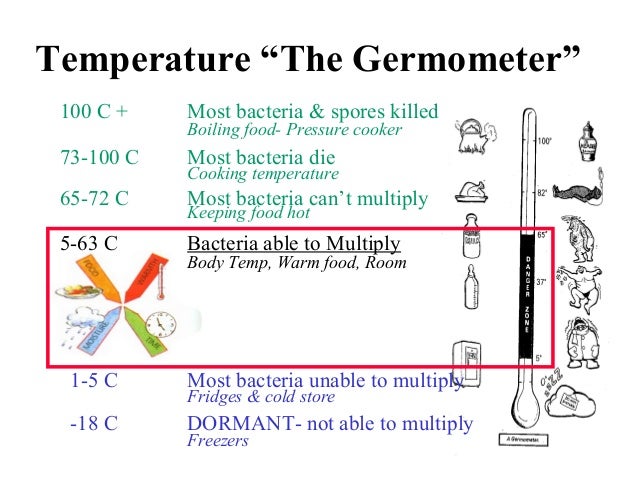 What Temperature Is Good For Keeping Food Warm What Temperature Is Good For Keeping Food Warm