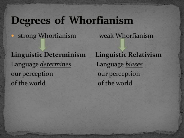 Linguistic relativity hypothesis image