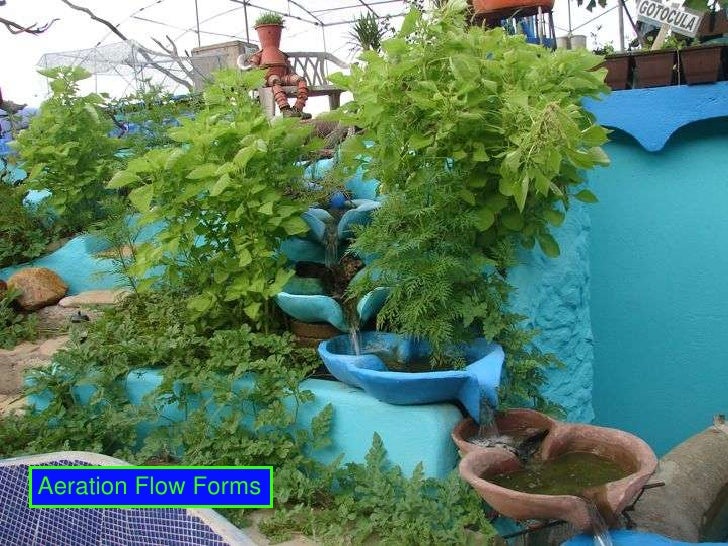 A3 Aquaponics - filter,feed and fish