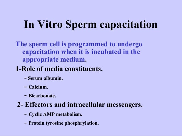 definition Sperm agent