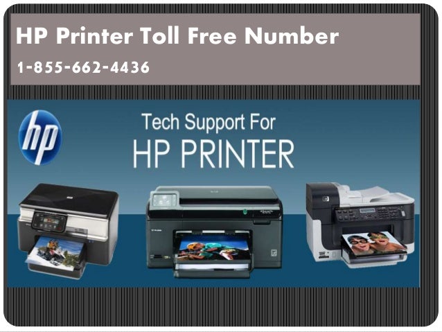 HP printer Support Phone Number for Technical Issues