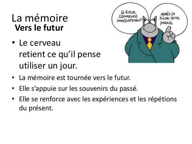 Comme utiliser le gingembre à la varicosité