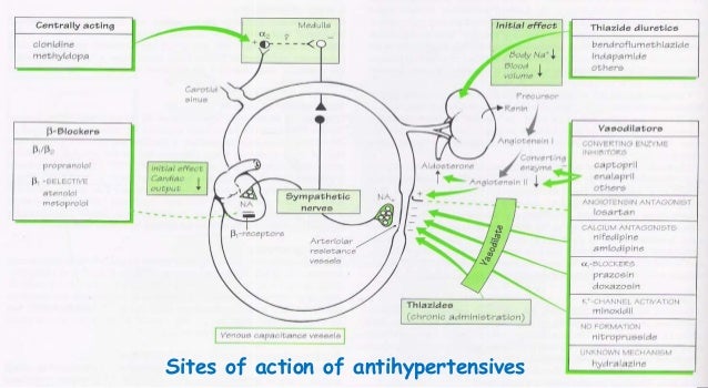 Online doxycycline