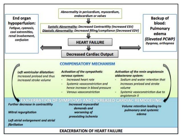 case studies on diabetes mellitus type 2 © type 2 diabetes mellitus case study get the complete diabetes destroyer system type 2 diabetes mellitus case study for just $37 buy now, [[type 2 diabetes. case studies on diabetes mellitus type 2 © type 2 diabetes mellitus case study get the complete diabetes destroyer system type 2 diabetes mellitus case study for just $37 buy now, [[type 2 diabetes.