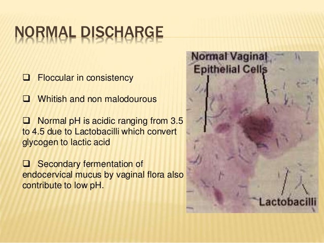 Vaginal Itching and Discharge - Gynecology and Obstetrics ...