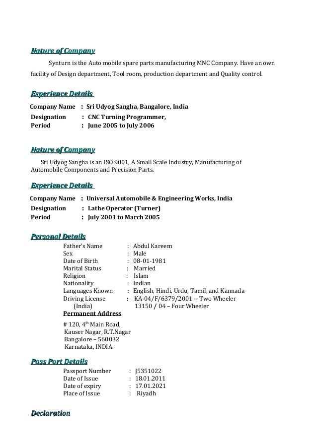 programmer sample resumes
