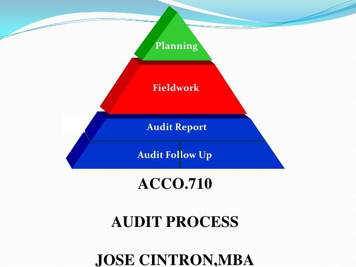 Procedure Of Audit Program