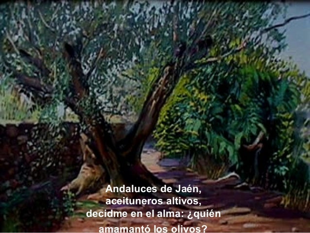 Résultats de recherche d'images pour « aceituneros de jaen »