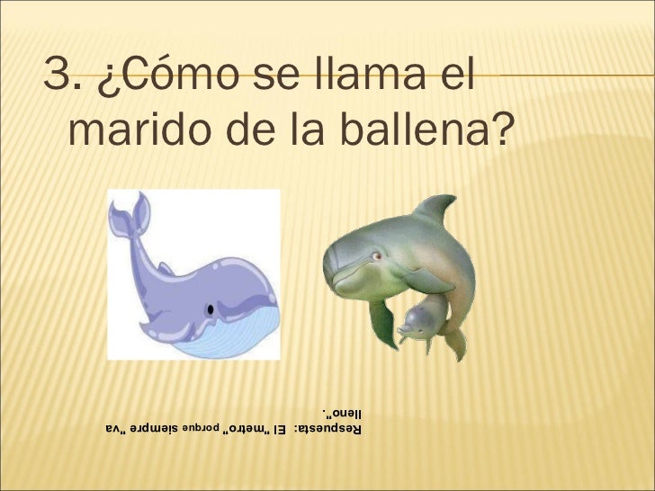 acertijos cortos para ni os acertijos matematicos con respuestas cortos 28 images acertijos cortos para ni os acertijos matematicos con respuestas cortos 28 images