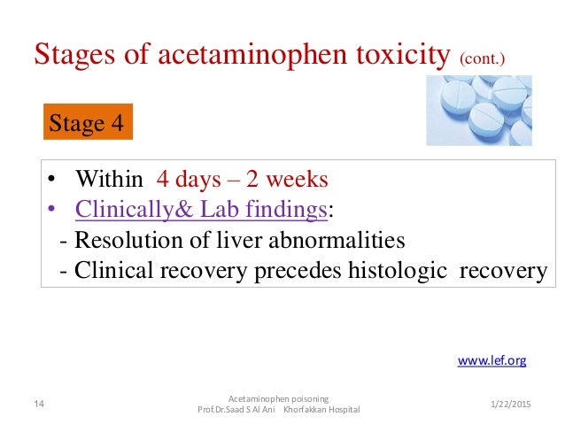 acetaminophen overdose antidote