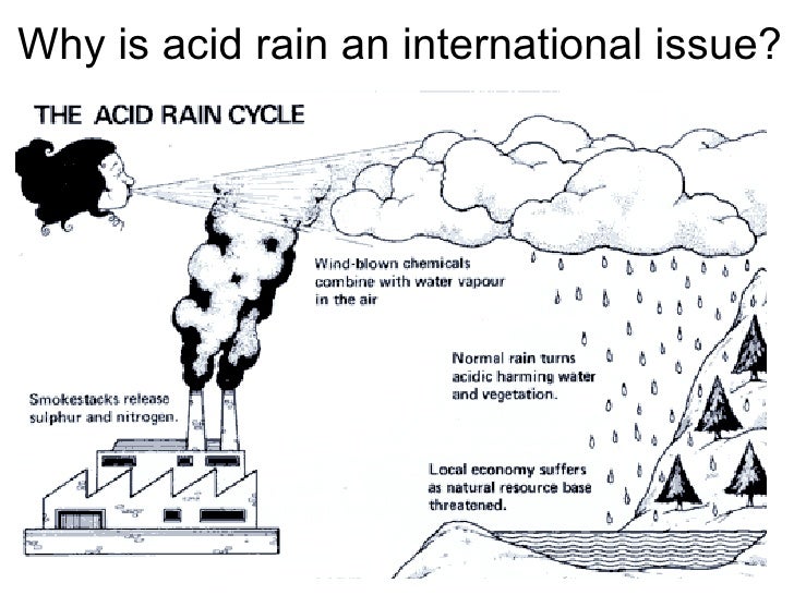 Acid Rain
