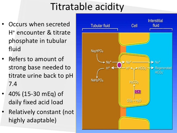 Acid base balance