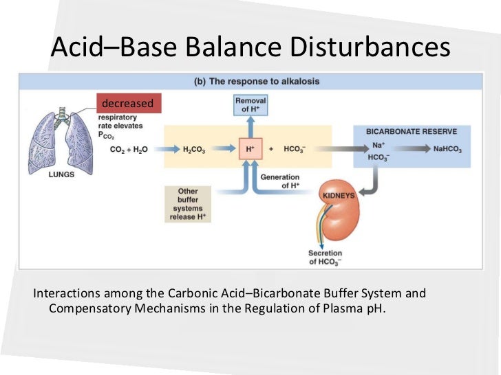 case vignettes in acid base balance University of pittsburgh medical center acid-base balance is an intricate concept which requires an intimate and detailed knowledge of case study: ms doe, a . case vignettes in acid base balance University of pittsburgh medical center acid-base balance is an intricate concept which requires an intimate and detailed knowledge of case study: ms doe, a .