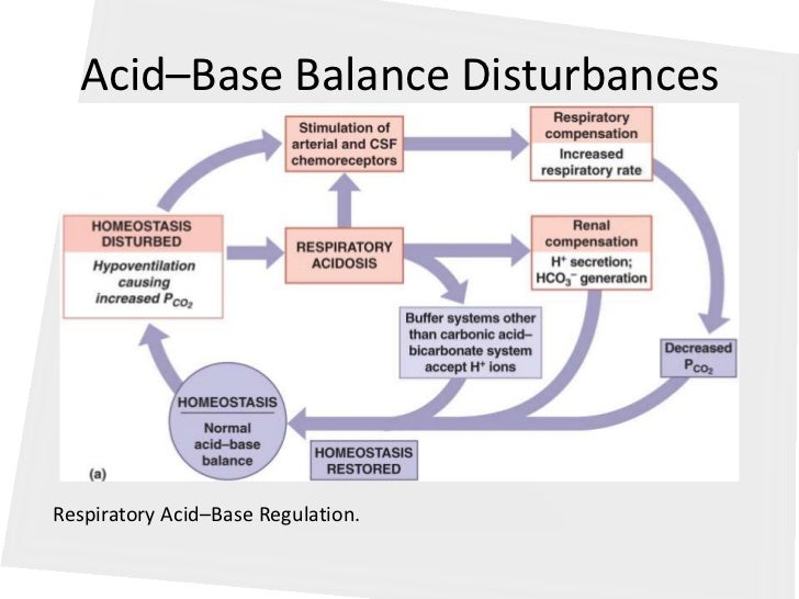Acid base balance