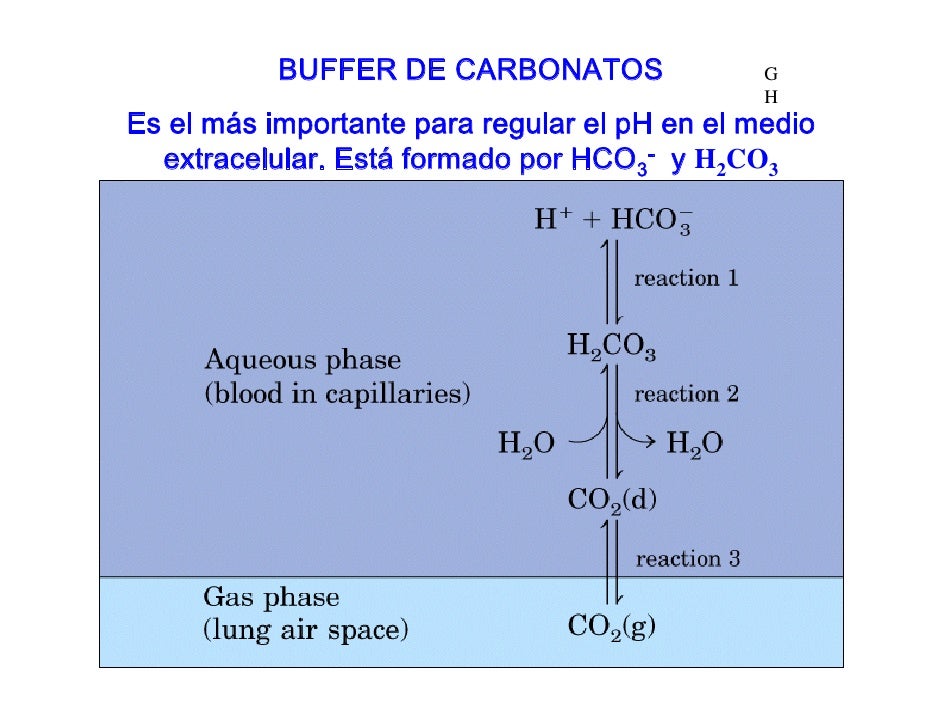 Acidos, Bases y Buffers