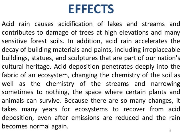cause and effect essay about acid rain Air pollution: causes and effects you may have read about this over again as air pollution effects is a common topic in writing essay acid rain can be fatal to. cause and effect essay about acid rain Air pollution: causes and effects you may have read about this over again as air pollution effects is a common topic in writing essay acid rain can be fatal to.
