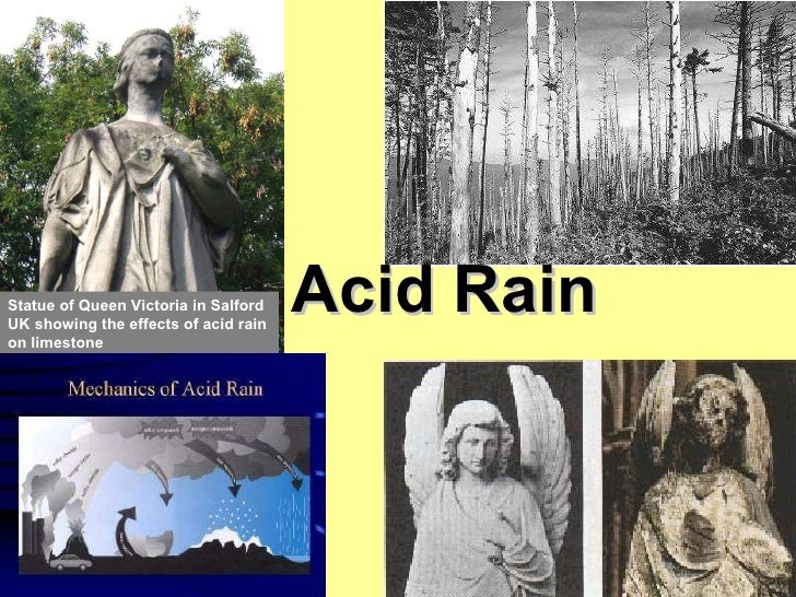 Acid rain pp