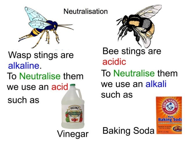 yellow jacket bee sting treatment yellow jacket bee sting treatment