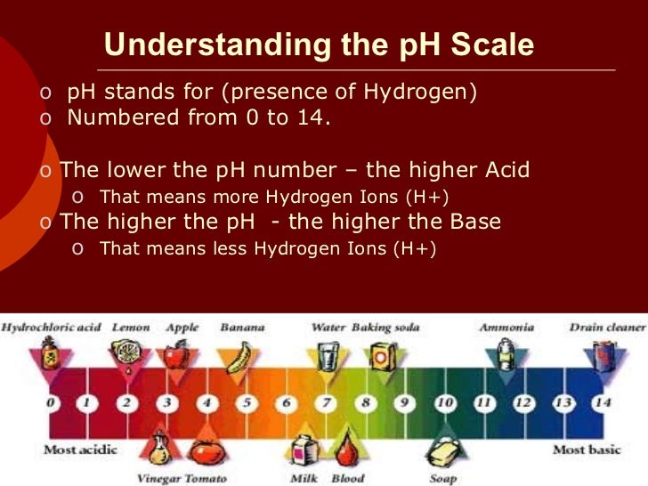 Understanding the pH Scale <ul><ul><li>pH stands for (presence of Hydrogen) </li></ul></ul><ul><ul><li>Numbered from 0 to ...