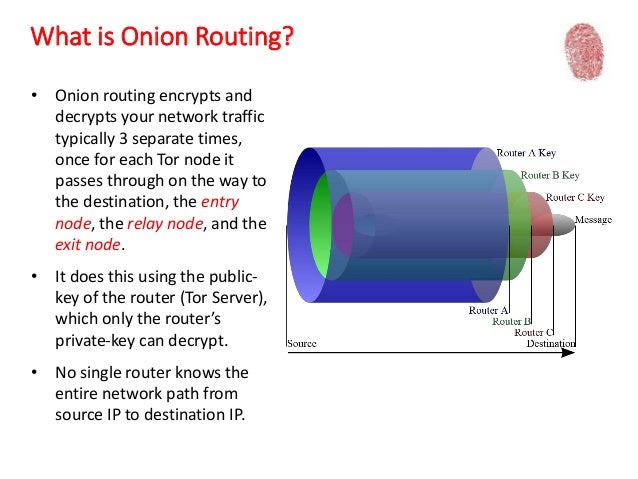 state of the onion tor state of the onion tor
