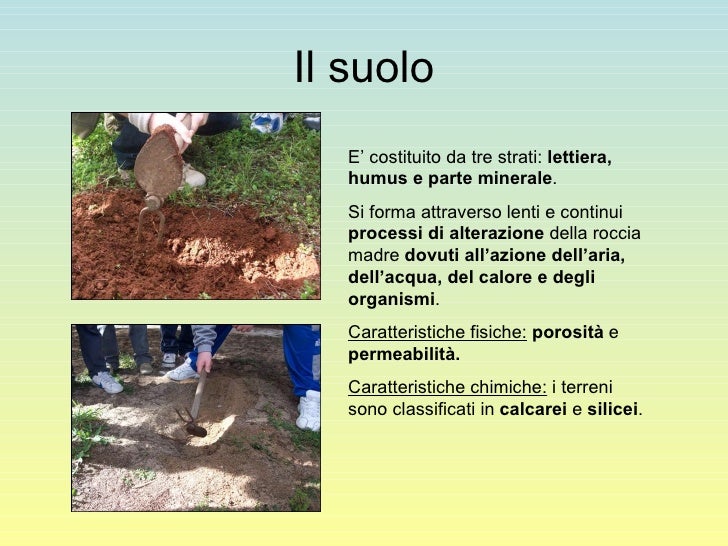 Quella Al Tornasole Indica Il Ph Di Una Sostanza