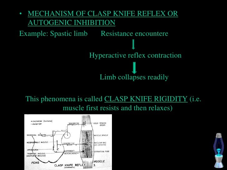 Activator and its modifications