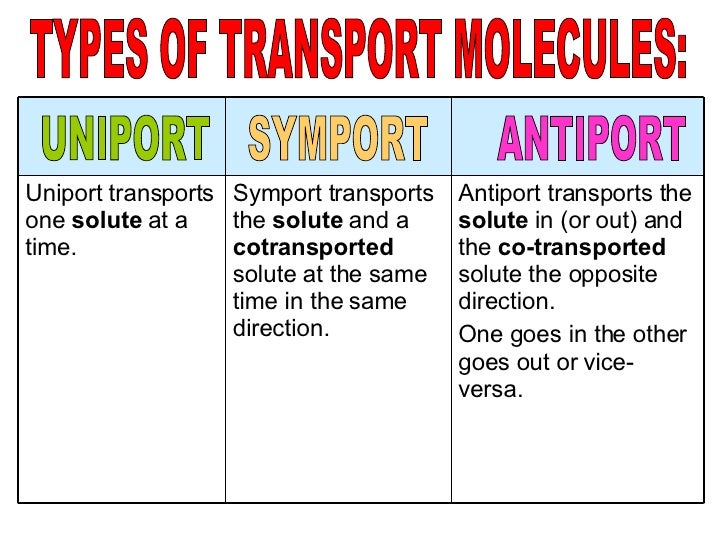 Active Transport New