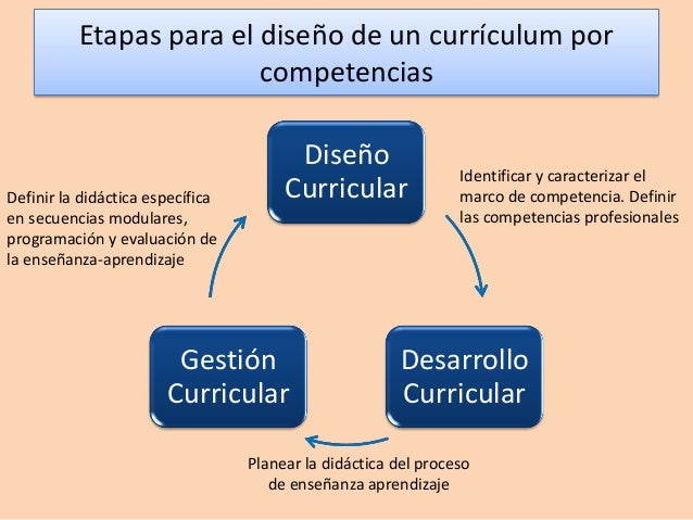 Fases y productos del diseño curricular por competencias