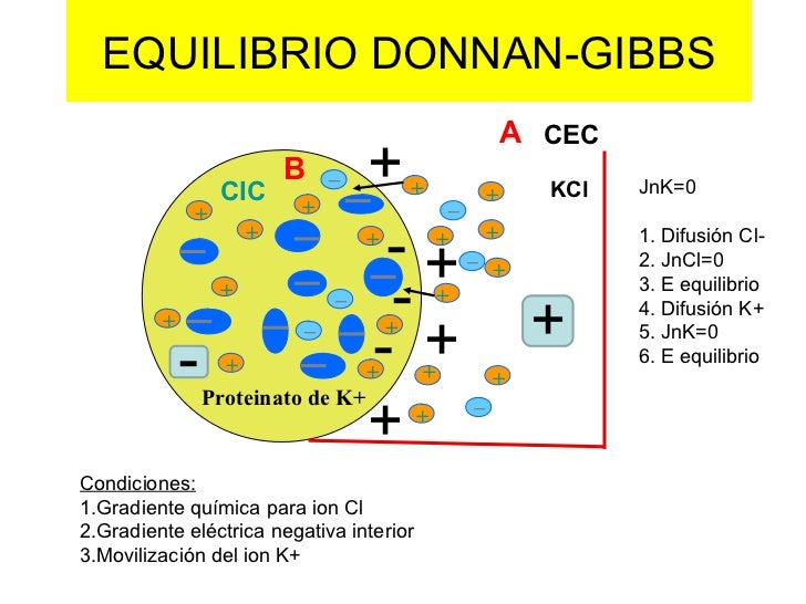 Actividad eléctrica membrana diapos fisio (unsa)