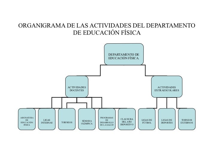 DEPARTAMENTO EDUCACION FISICA departamento educacion fisica: