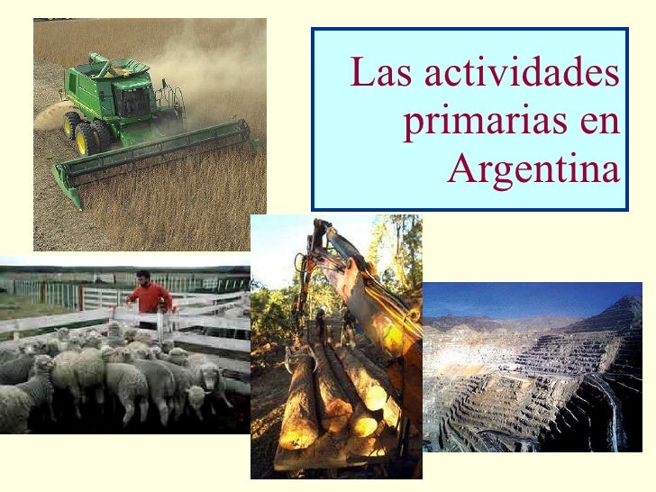 Actividades Primarias