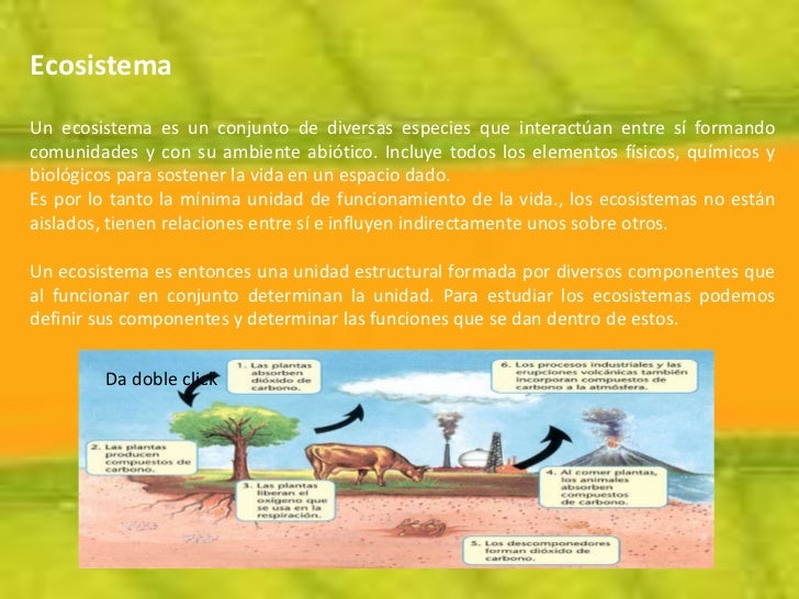 COMUNIDAD    Conjunto de poblaciones de diferentes especies que viven en un área o hábitats    dado y que interactúan entr...