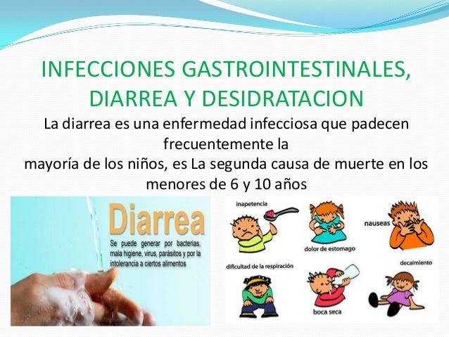 Las investigaciones del huevo la lombriz