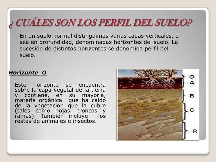 Los pequeños miembros de hombre mostrar