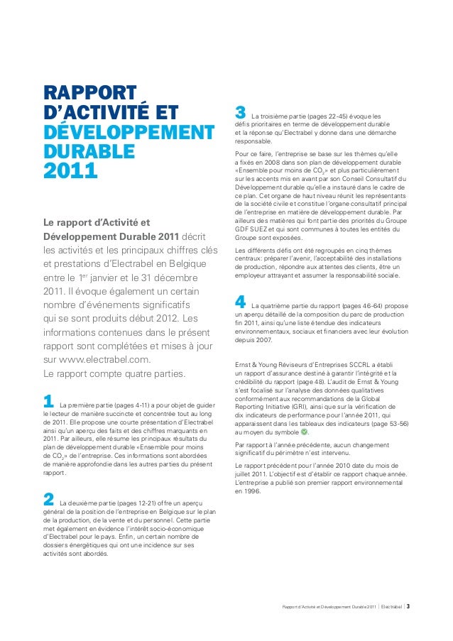 exemple rapport d’activite professionnelle