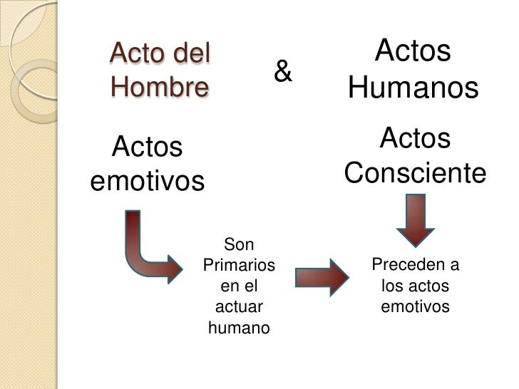 Actos Humanos - Actos Hombre