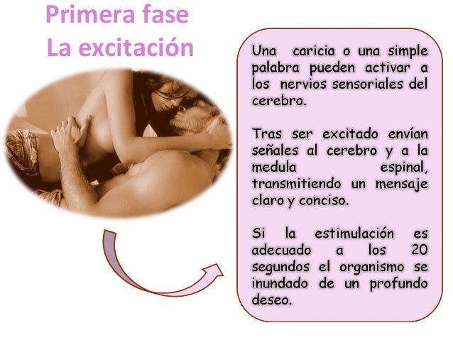Decir a la muchacha que a mí el pequeño miembro