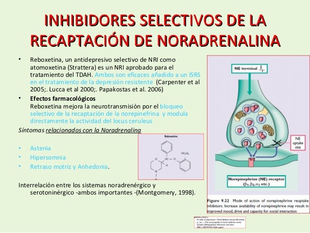 Actualizacion en antidepresivos