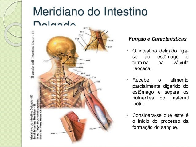 A verdade que de uma proteína pode haver impotência