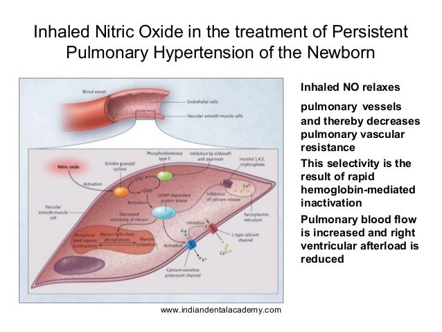 Nitric Oxide Viagra