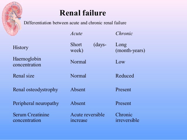kidney transplant method pdf