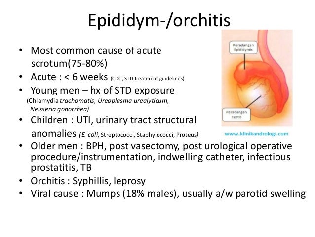 Acute vs chronic scrotal swelling