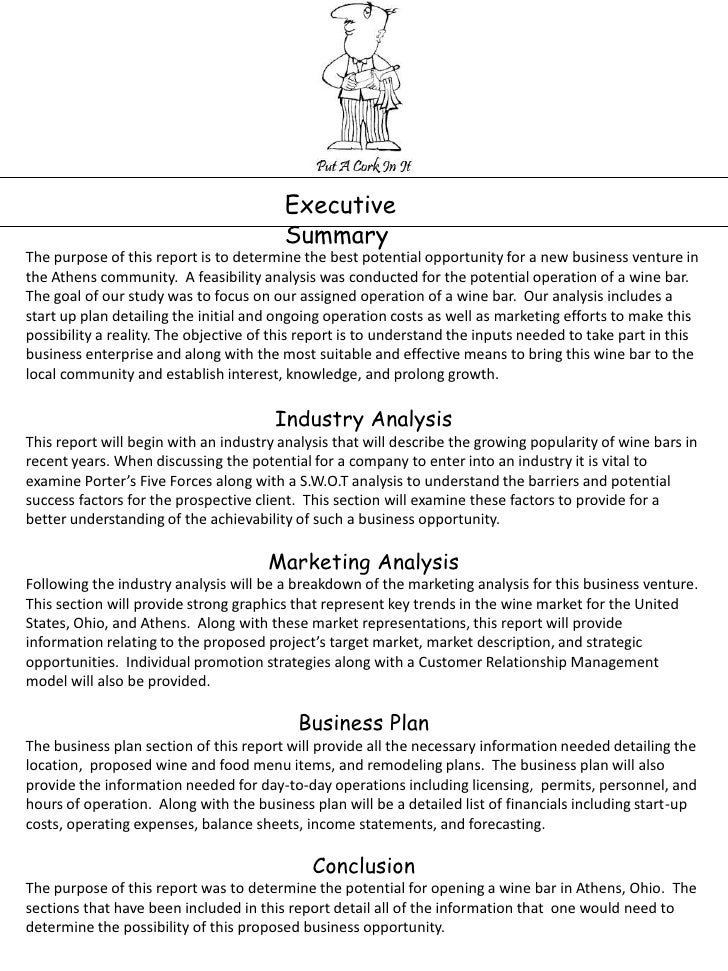 Amazon com: Business Plan Pro Complete v 12: Software
